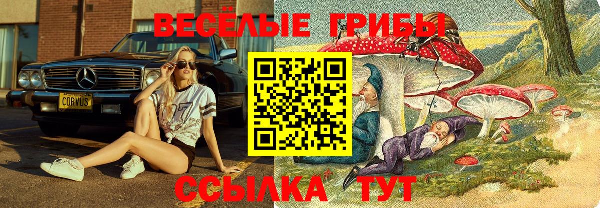 Метадон Новоалександровск