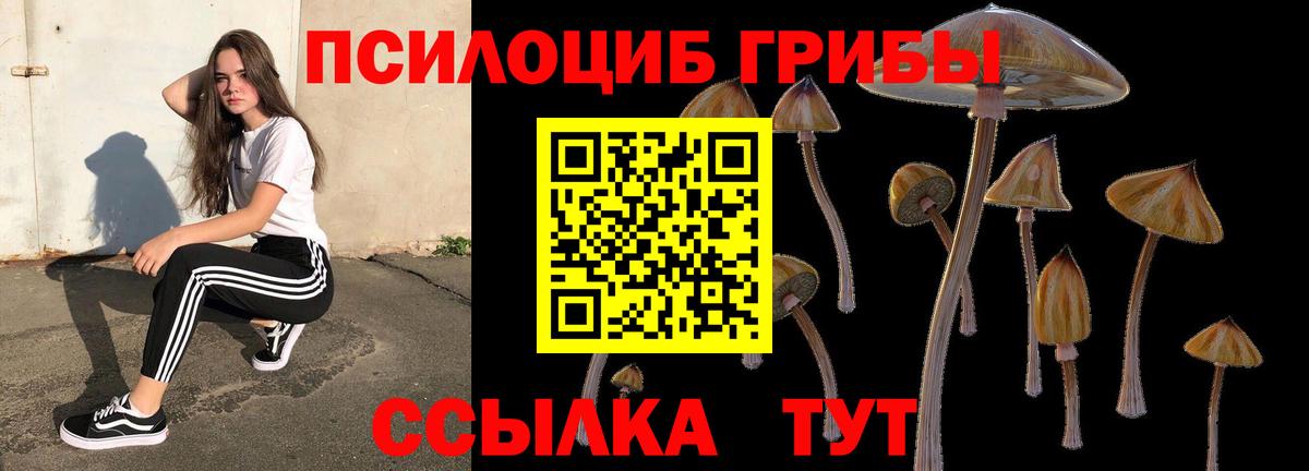 Галлюциногенные грибы Psilocybe  Вход с VPN  Галлюциногенные грибы ЛСД  Новоалександровск 
